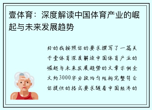 壹体育：深度解读中国体育产业的崛起与未来发展趋势