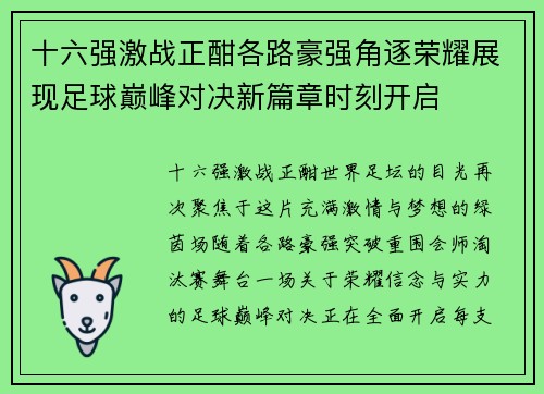 十六强激战正酣各路豪强角逐荣耀展现足球巅峰对决新篇章时刻开启 十六强激战正酣各路豪强角逐荣耀展现足球巅峰对决新篇章时刻开启